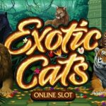 Exotic Cats - Game slot dengan gameplay menarik dengan gambar berkualitas tinggi